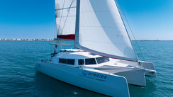 Neel 43 Hybride